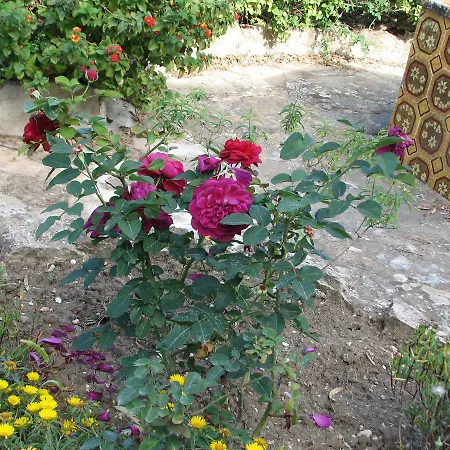 Casale Verderame 3*