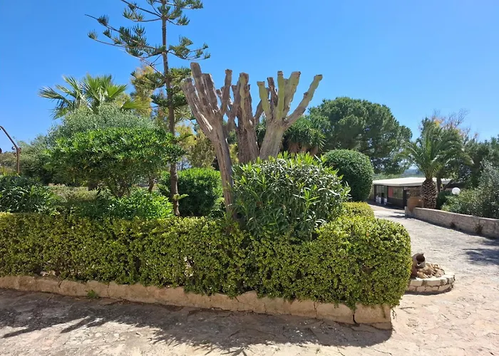 公寓式酒店 卡萨莱维德默住宅酒店