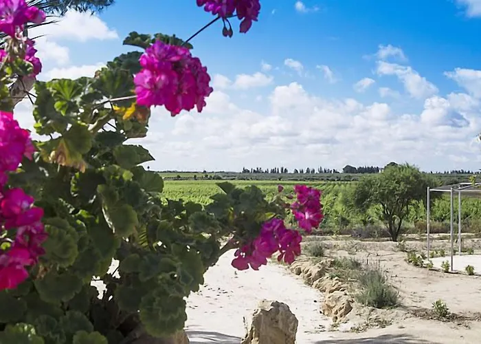 卡萨莱维德默住宅酒店 特拉帕尼